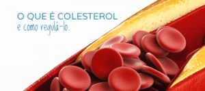 o que é o colesterol?